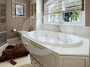 Bathtubs classic style photo