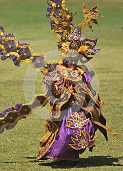 Batik Costume
