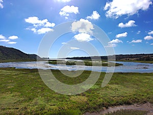 Batiquitos Lagoon with blue waters, lush green trees and blue sky background with clouds photo