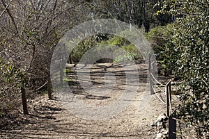 Batiquitos Lagoon Trails surrounding lake photo