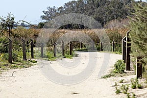 Batiquitos Lagoon Trails surrounding lake photo