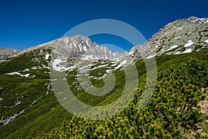 Batizovská dolina. Jarná krajina Tatier, Slovensko