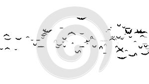 Bats flying isolated on white background