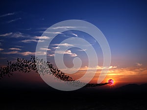 Bats, full moon and mountains