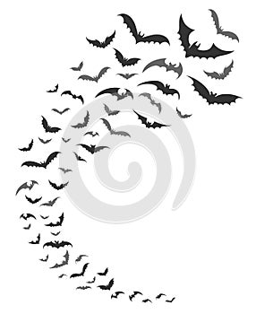 Bats swarm silhouette photo