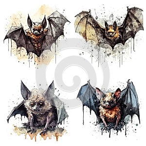 bats watercolor illustration set
