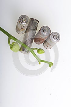 Batteries of corrosion. They lie on a white surface, covered with a branch of orchids with unrevealed buds. Environmental protecti