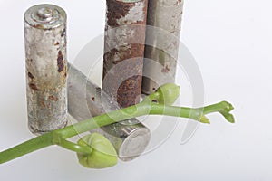Batteries of corrosion. They lie on a white surface, covered with a branch of orchids with unrevealed buds. Environmental protecti photo