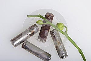 Batteries of corrosion. They lie on a white surface, covered with a branch of orchids with unrevealed buds. Environmental protecti