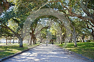 Battery Park - Charleston