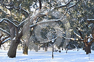 Battery Park, Charleston, SC