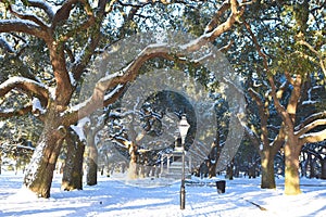 Battery Park, Charleston, SC