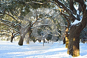 Battery Park, Charleston, SC