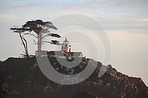 Battery Point Lighthouse and Tree View