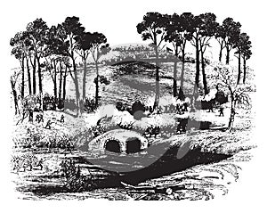 Battle of Antietam, vintage illustration