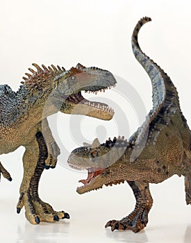 A Battle Between a Carnotaurus and an Allosaurus