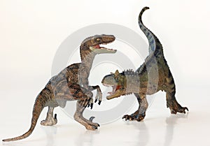 A Battle Between a Carnotaurus and a Velociraptor