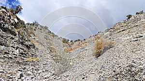 Battle Creek Canyon in Autumn