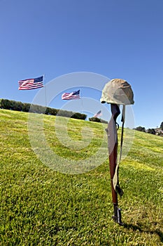 Battle Cross Rifle and Flags photo