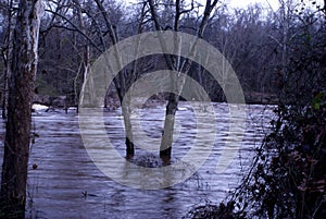 Battle park Rocky Mount North Carolina flooding