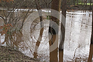 Battle park Rocky Mount North Carolina flooding