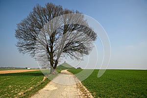 Battlefield monument at Waterloo. Belgium.