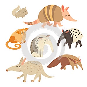 Battleship, anteater, chinchilla, tapir, anteater, kinkajou animals on white background. Vector illustration