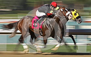 Battling Down the Homestretch