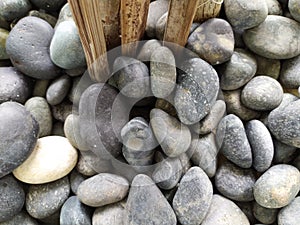 BATU ALAM DIDALAM POT BUNGGA