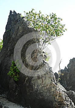 Batu Layar Rocks by the sea photo