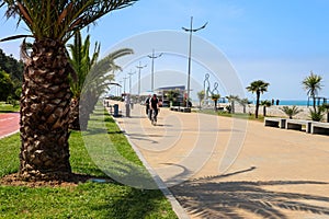 Embankment of Batumi with alley of palm trees, bicycle path and modern architecture