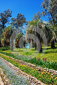 The Batumi Botanical Garden near Batumi, Georgia.