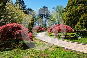 The Batumi Botanical Garden near Batumi, Georgia.