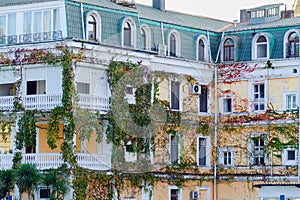 General architecture - facade of traditional residential building, covered with ivy and grape varnish.