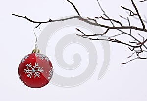 Bauble on a Branch Outside