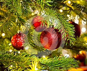 Bauble Ornament in a real Christmas tree