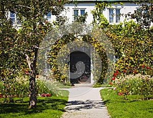 Bavaria, Germany - orchard and flowers in summer