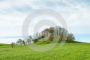 Bavaria hill meadow landscape