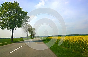 Bavaria - springtime, country road among fields with trees and y