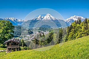 Bavarian Alps with beautiful flowers and Watzmann in springtime, Bavaria, Germany