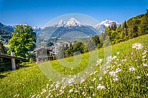 Bavarian Alps with beautiful flowers and Watzmann in springtime, Bavaria, Germany