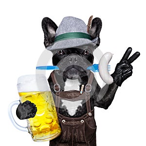 Bavarian beer celebration dog