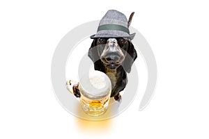 Bavarian beer dachshund sausage dog