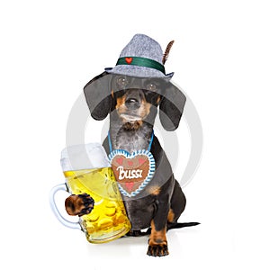 Bavarian beer dachshund sausage dog