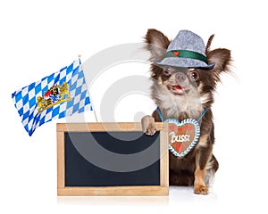 Bavarian beer dog