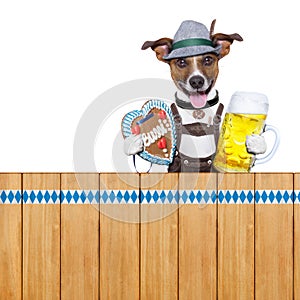 Bavarian beer dog