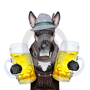 Bavarian beer dog