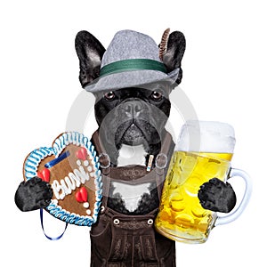 Bavarian beer dog