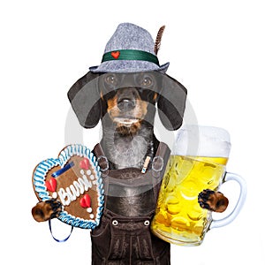 Bavarian beer dog
