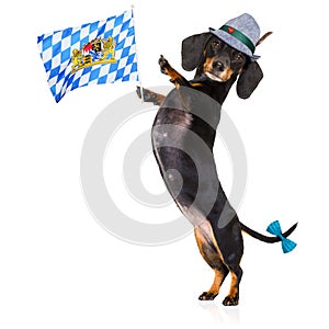 Bavarian beer dog